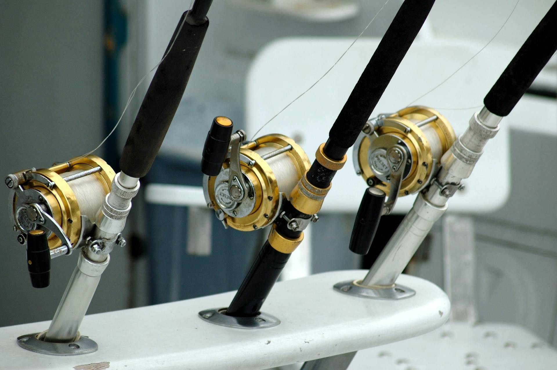 Costa Rica Sport Fishing Guides: An Insider’s Report