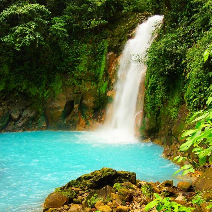 Thing To Do Jungle & Adventure