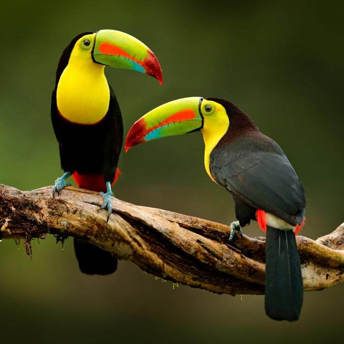 Thing To Do Nature & Wildlife