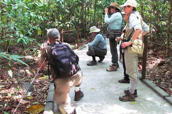 Things To Do Carara National Park