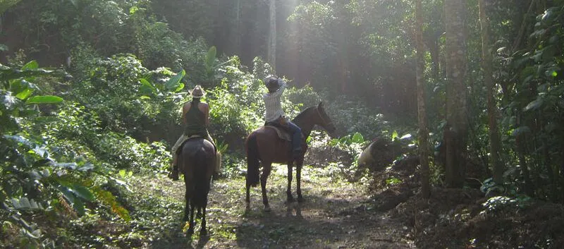 Things To Do Horseback Riding