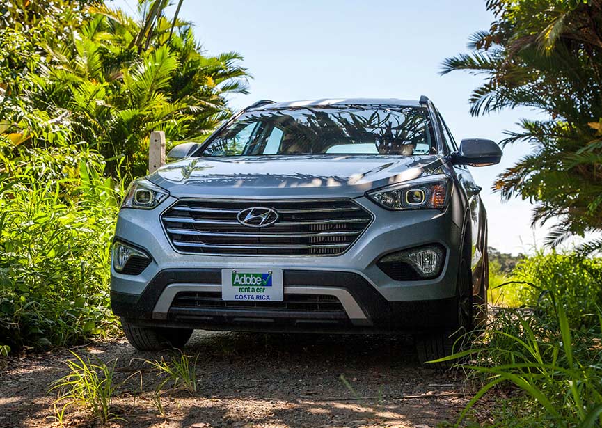 Things To Do Car Rentals