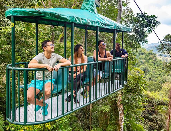 Things To Do Rainforest Aerial Tram