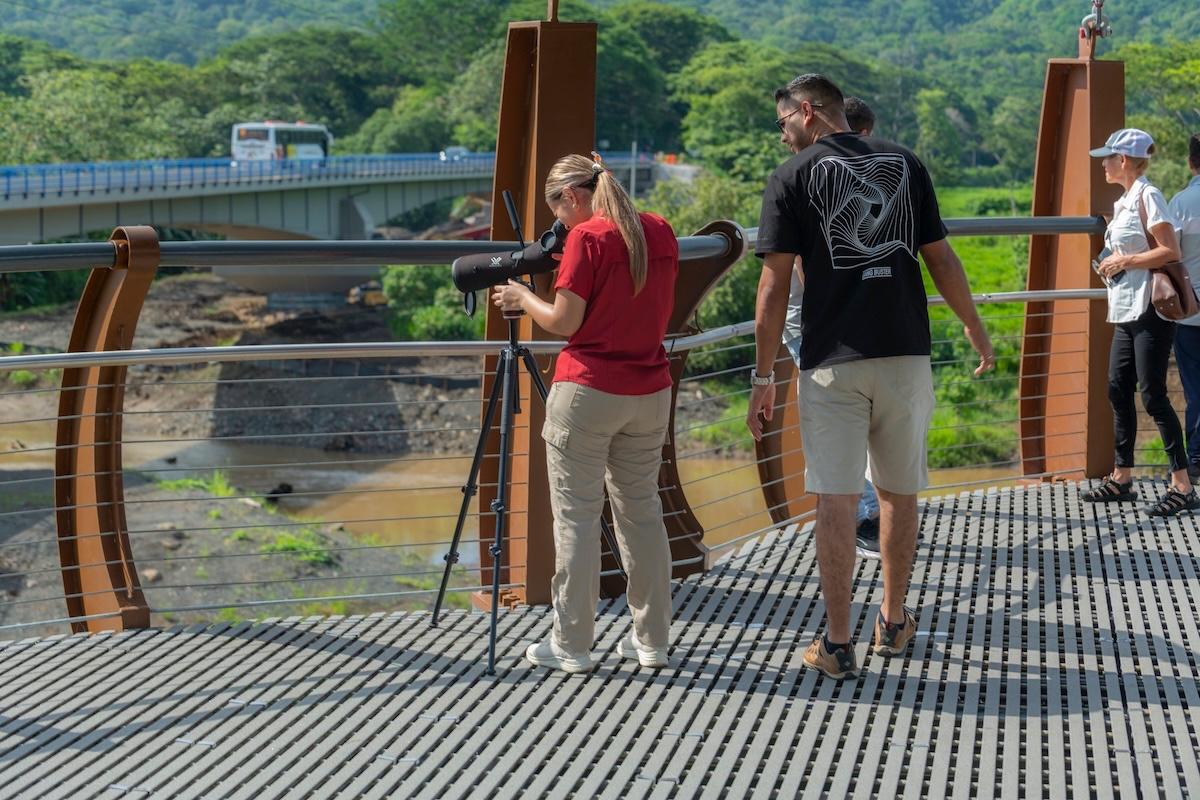 Visitors observing wildlife from Tárcoles Bridge in Costa Rica