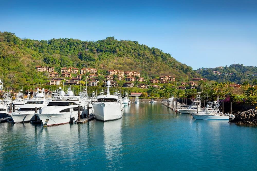 Fauna tropical y experiencias en la naturaleza cerca del complejo turístico Los Sueños y del hotel « Marina » en Costa Rica